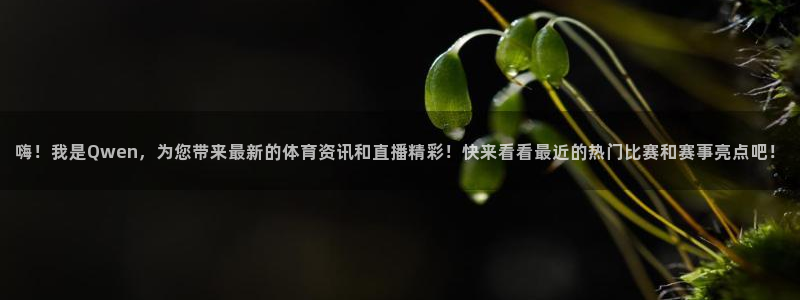 新闻图片