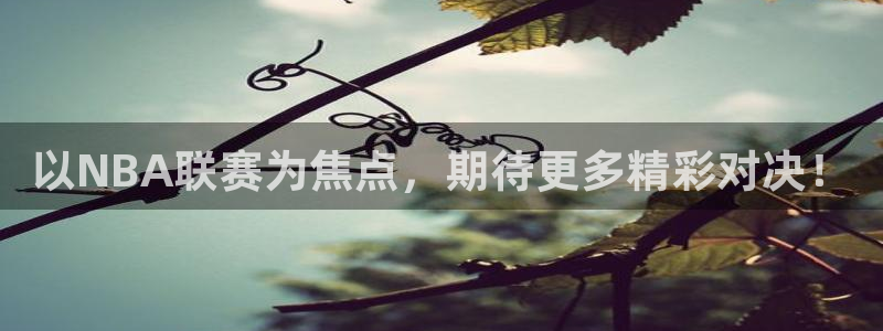 9255tv直播nba在线观看：以NBA联赛为焦点，期待更多精彩对决！