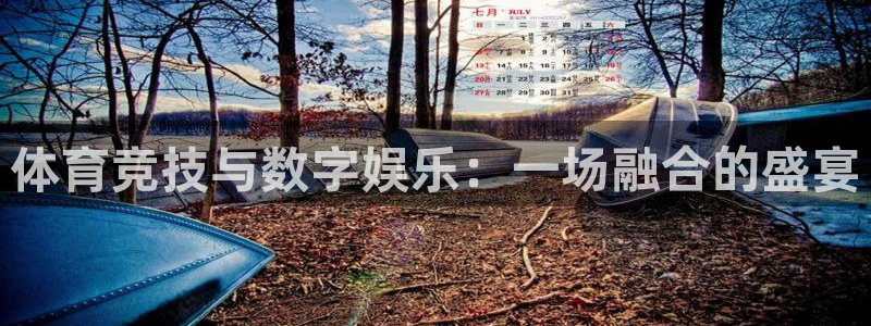9255tv直播nba在线观看：体育竞技与数字娱乐：一场融合的盛宴