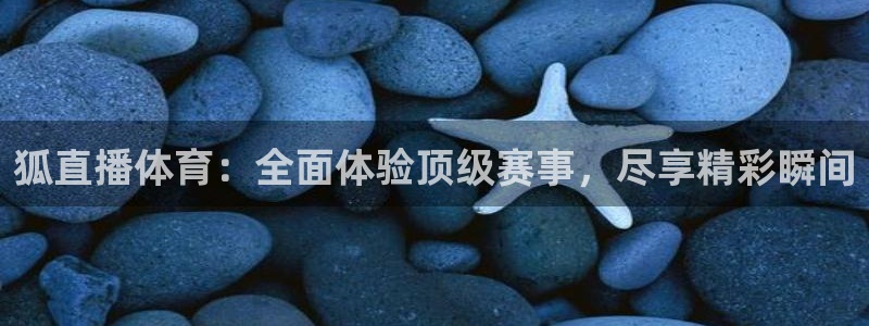 9255tv直播无插件nba：狐直播体育：全面体验顶级赛事，尽享精彩瞬间