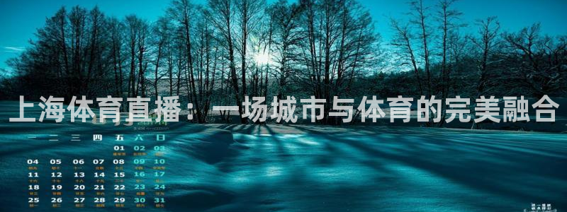 9255tv直播nba在线直播：上海体育直播：一场城市与体育的完美融合