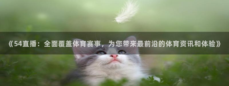 9255tv直播无插件nba：《54直播：全面覆盖体育赛事，为您带来最前沿的体育资讯和体验》